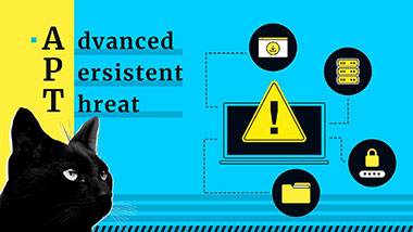 Advanced Persistent Threat