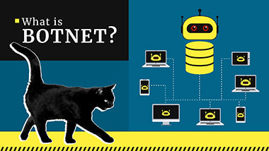 Botnet Attack