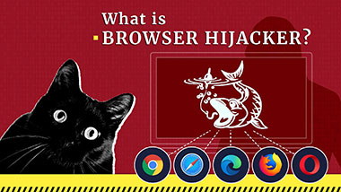 What is a Browser Hijacker?