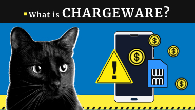 What is Chargeware?