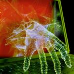 Chinese hackers and espionage