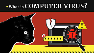 What is Computer Virus?