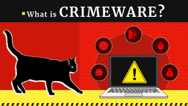 What is Crimeware?