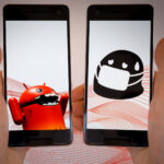 destroyed the FluBot trojan