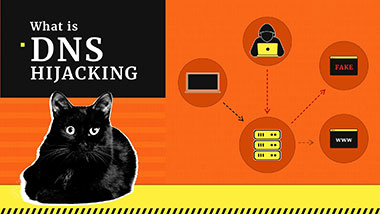 DNS Hijacking