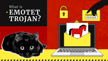 What is Emotet Malware?