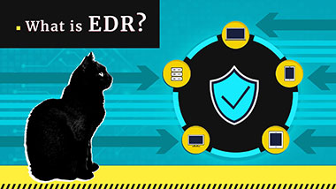 What is EDR?