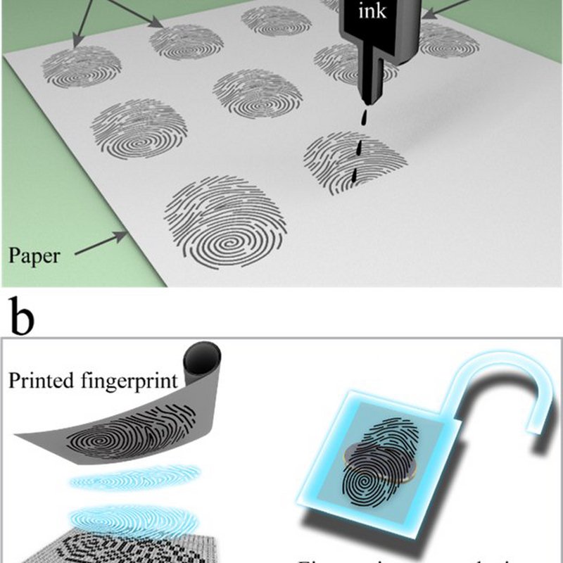 Fingerprint spoofing with the use of tracing paper, ink and duct tape