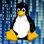 Vulnerabilities in Linux and superuser rights