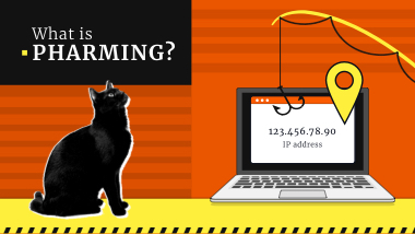 Pharming - What is it?