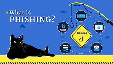What is Phishing?