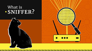 What Is a Packet Sniffer?