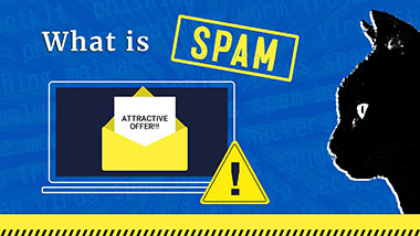 What is Spam?