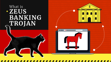 ZeuS Banking Trojan