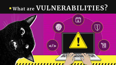Software Vulnerability