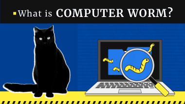 Computer Worm