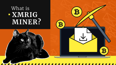 XMRig Miner Malware