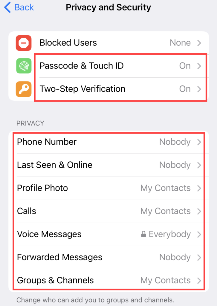 Telegram security settings screen showing recommended privacy configuration options to protect against scams