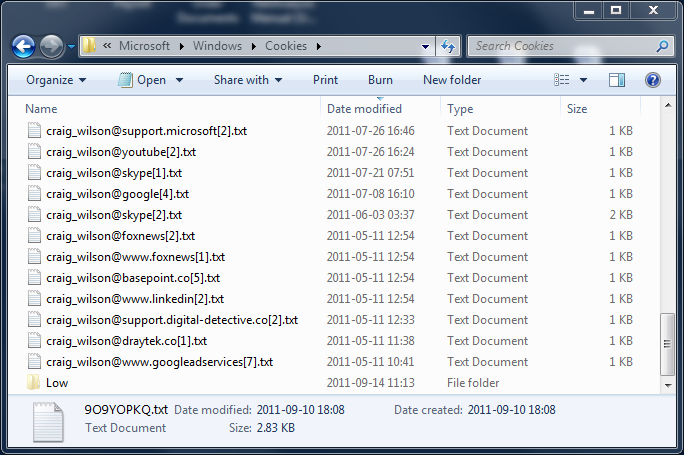 Browser Cookies Definition And Most Significant Types 2 What Are Cookies?
