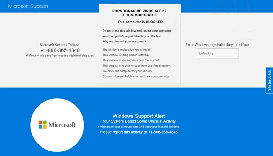 Pornographic Virus Alert From Microsoft 2 Pornographic virus alert from Microsoft banner