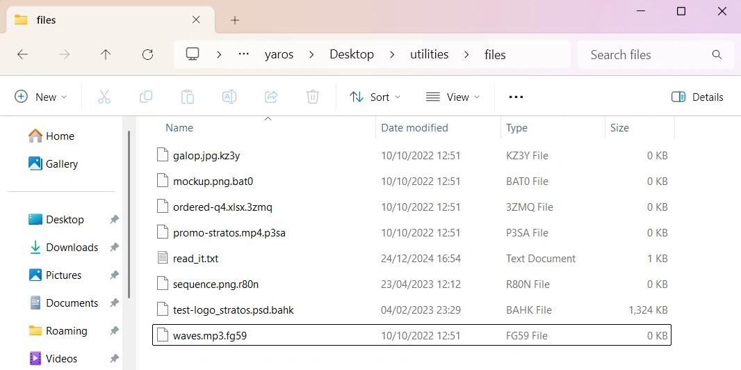 AlienWare Ransomware 4 AlienWare ransomware files