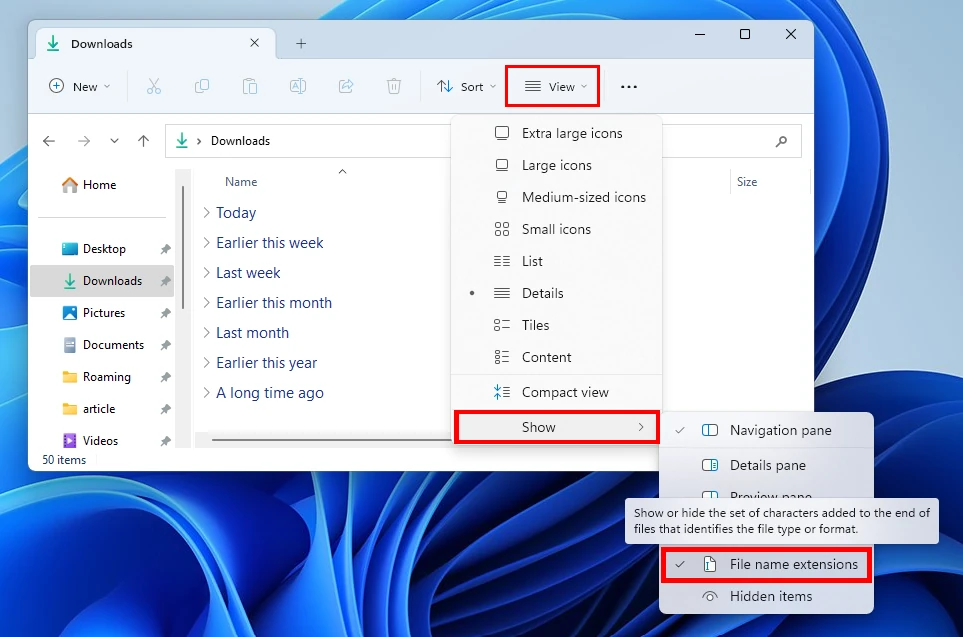 Enable file extensions File Explorer