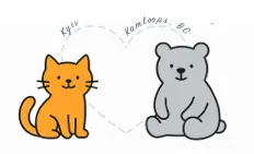 cats and bear