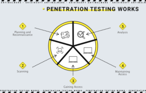 Penetration Testing: Stages and Methods 2 This diagram shows the stages and components of penetration testing.