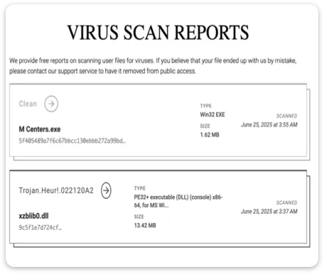 virus scan report